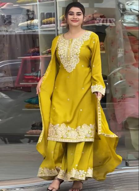 Anamsa 545 Embroidery Georgette Pakistani Suit Suppliers In India
