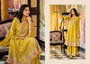 Ragini By Eba Chinon Embroidery Work Festival Wear Readymade Collection Online Wholesale