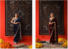 Bt 3143 Velvet Designer Sequence And Jari Thread Worked Saree Bulk Orders In India