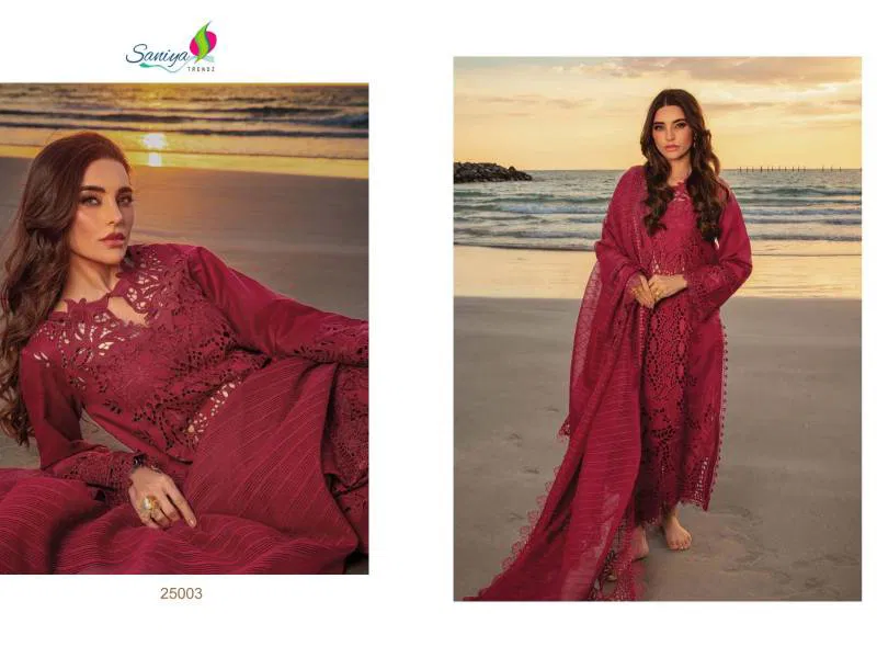 Rang Rasiya Vol 25 By Saniya Pakistani Salwar Suit Wholesalers In Delhi
