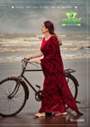 Anjana By Sanskar Bember Pattern Georgette Fancy Saree Wholesale In India