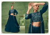 Celebrity Vol 5 By Vamika Bsy Fiona Indo Western Lehenga Choli Orders In India