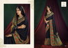 Navata By Shubh Shree Tussar Silk Traditional Saree Wholesale Online
