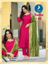 Tashu By Kaya Vertican Kurti With Bottom Dupatta Suppliers In Mumbai
