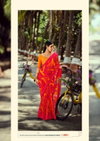 Rashi By Sanskar Bright Simmer Pattern Sirowski Border Saree Best Wholesale Shop In Surat
