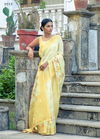 Kadambari Vol 2 By Bhumi Organza Designer Saree Orders In India