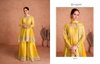 Vaani Vol 2 By Gulkayra 7407 Series Sharara Readymade Suits Wholesalers In Delhi