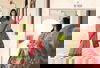 Heritage Silk Vol 11 By Vipul Crepe Daily Wear Sarees Exporters In India
