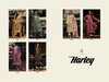 Harley By Aiqa Berg Cotton Silk Designer Salwar Kameez Wholesale Online
