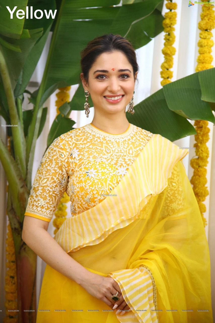 Tamanna 1 New Fancy Designer Party Wear Organza Saree Collection