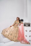 Chiku Colour Banarsi Silk Lahenga With Blouse And Dupatta Wholesale In India Kf 2151
