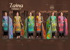 Zainab Edition 2 By Alok Viscose Reyon Pakistani Dress Material Wholesale Online