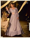 Riyaasat By Sayuri Net Embroidery Wholesale Designer Lehenga Choli In India
