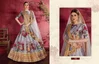 Carnations Vol 1 By Zeel Banglori Silk Designer Lehenga With Blouse Dupatta Wholesale Online