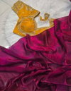 Fendy With Ready Blouse Immycho Rich Fabric Wholesale Saree Suppliers In Mumbai