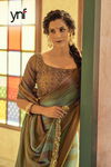 Ynf Rainbow Schiffli 1 Designer Party Wear Silk Printed Saree Collection