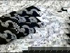 Peacock Printed Suits 1 Designer Cotton Printed Latest Dress Material Collection