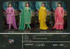 Lipika By Four Dots Organza Jharkan Worked Dress Material Suppliers In India