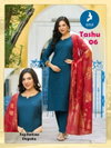 Tashu By Kaya Vertican Kurti With Bottom Dupatta Suppliers In Mumbai
