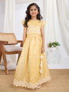 T 5039 A And B Organza Crush Fancy Frok Girls Wear Collection Wholesale In India