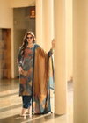 Aeste By Prm Viscose Pashmina Printed Online Dress Material Wholesale

