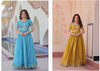 KA 1171 Gold Crush Embroidery Designer Wholesale Gown Suppliers In Mumbai