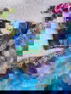 Mc Organza Digital Print Desgner Non Catalog Saree Catalog