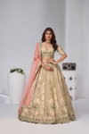 Chiku Colour Banarsi Silk Lahenga With Blouse And Dupatta Wholesale In India Kf 2151
