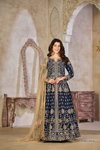Aanaya Vol 232 By Dani Art Silk Gown With Dupatta Suppliers In Surat
