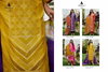 Ashki By Cinderella Designer With Handwork Salwar Suit Suppliers In India