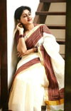 Mg 278 Cotton Gold Zari Patta Border Printed Saree Catalog