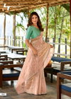 Primark Vol 26 By LT Nc Shine Silk Designer Saree Wholesale Price In Surat