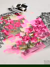 MG 357 Linen Digital Printed Non Catalog Sarees Wholesale Price In Surat