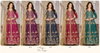 Aanaya Vol 232 By Dani Art Silk Gown With Dupatta Suppliers In Surat