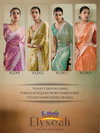 Elyseah By Sethnic Velvet Chiffon Embroidery Wholesale Designer Saree In India