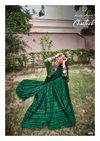 Kashvi Chaitrah Weightless Daily Wear Georgette Printed Saree Collection
