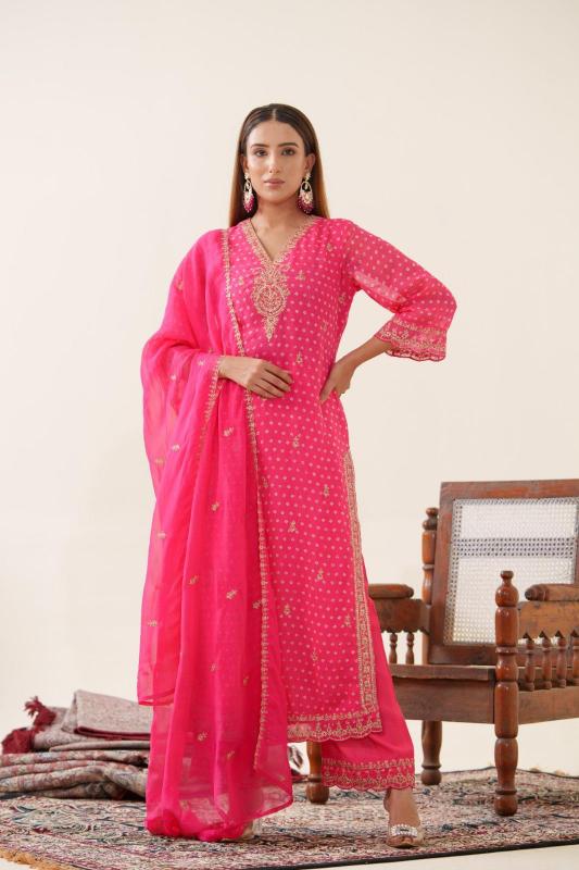 Psyna Pure Organza Readymade Suits Wholesaler In Delhi