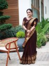 Narayan Pet Vol 1 By Aab Soft Silk Zari Weaving Saree