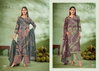 Saviour By Esta Pashmina Printed Surat Dress Materials Wholesale Market

