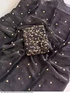 Tew Space Sattin Sequence Full Worked Saree