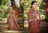 Chaturi Silk Vol 2 by Bunawat Wedding Wear Saree Wholesale Price In Surat
