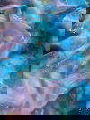 Mc Organza Digital Print Desgner Non Catalog Saree Catalog