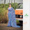 Morpankh Vol 8 By Sanskar Unique Georgette Saree Wholesale Suppliers In Mumbai