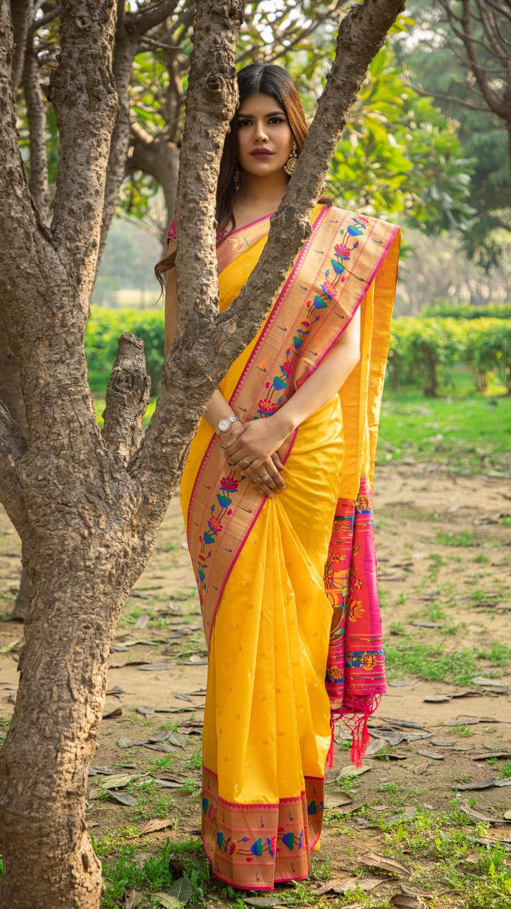 Rajyog Pathani Latest Collection fancy Festive Wear Heavy Soft Silk Saree 
