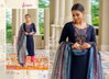 Silk House By Psyna Chinnon Silk Readymade Salwar Kameez Wholesalers In Delhi