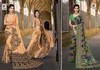 Halla Bol 102 Rennial Casual Daily Wear Renial Printed Saree Collection
