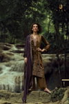 The Lady Of The Lake By Aiqa Velvet Dess Material Wholesale Shop In Surat
