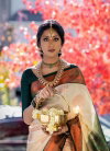 Soft Silk 5003 Beautiful Rich Pallu Jacquard Work Saree Suppliers In India
