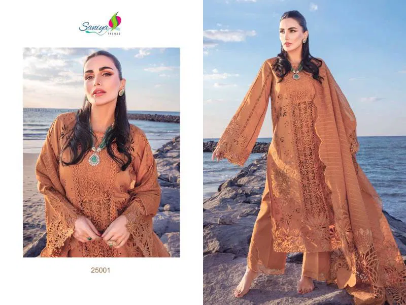 Rang Rasiya Vol 25 By Saniya Pakistani Salwar Suit Wholesalers In Delhi