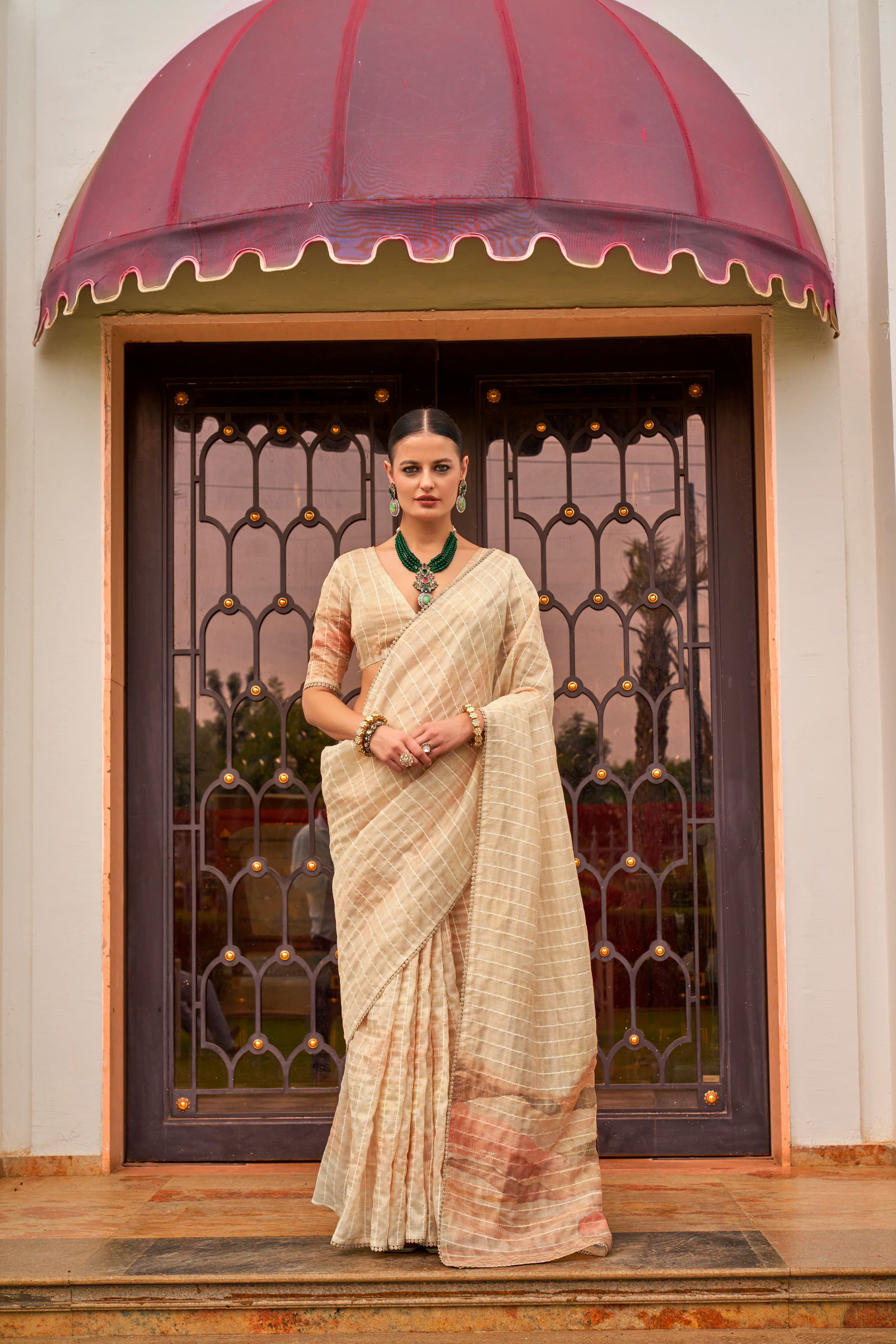 Luxuria By Kala Jamun Tissue Silk Wholesale Saree Suppliers In Mumbai